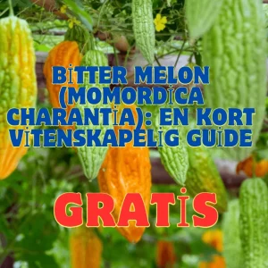 Bitter Melon